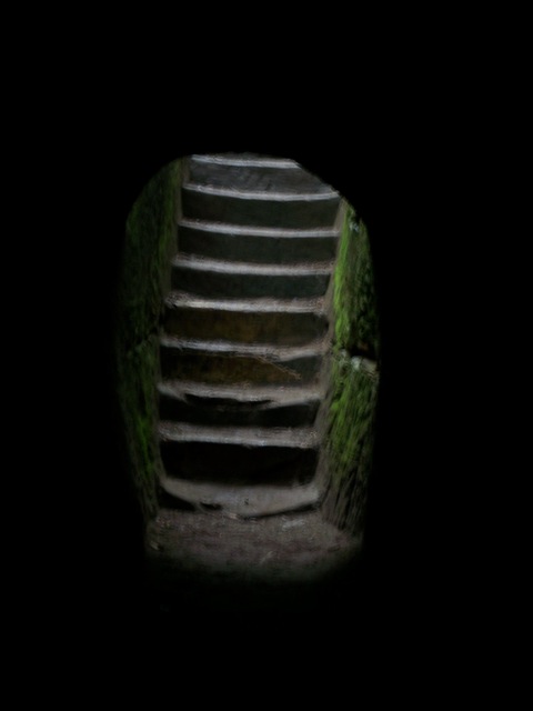 Steps